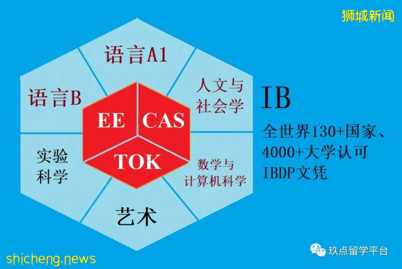 新加坡国际学校AP、A-level、IB课程，学生要怎么选