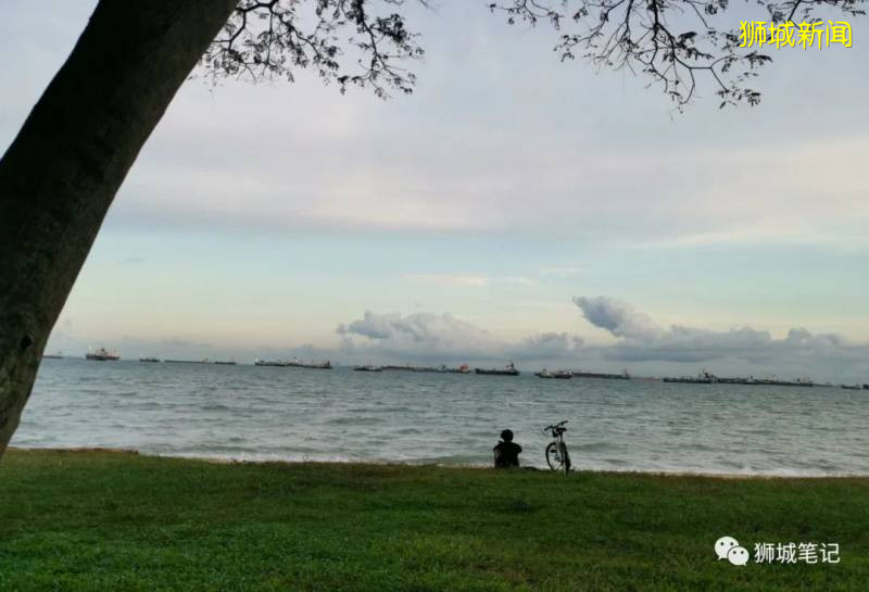 新加坡的“保姆政府”，斷想