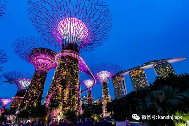 全球最缺度假的国家!坡岛人一颗想旅游的心,无处安放