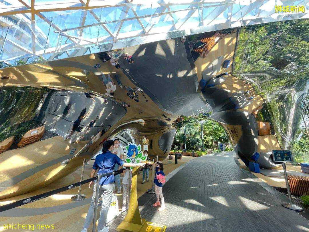 免費送票！$58就能露營機場，兩天一夜住帳篷，快搶