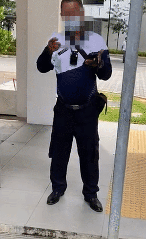 稽查员一秒变装成路人，在组屋楼下吸烟、乱丢烟蒂