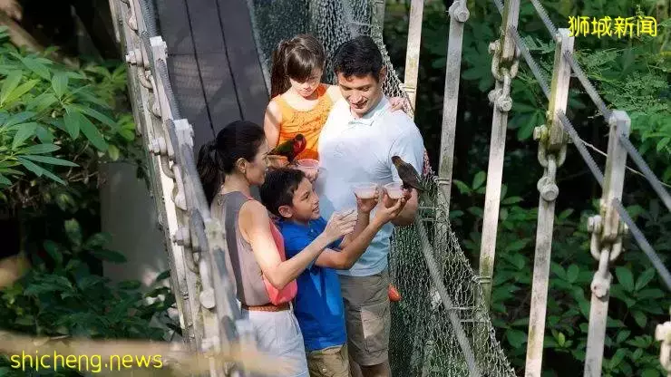 5月1日起入境新加坡可使用IATA通行證，新加坡親子遊攻略