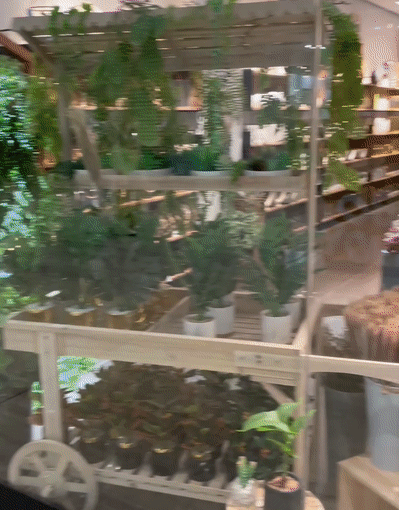 新加坡宝藏家居旗舰店！整整2层，数千种好物，好逛又便宜