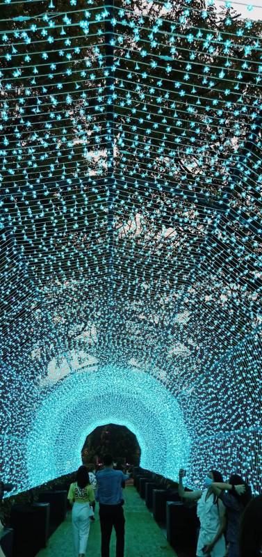 实拍！全世界都羡慕新加坡这个圣诞夜景！8个梦幻夜晚美炸了