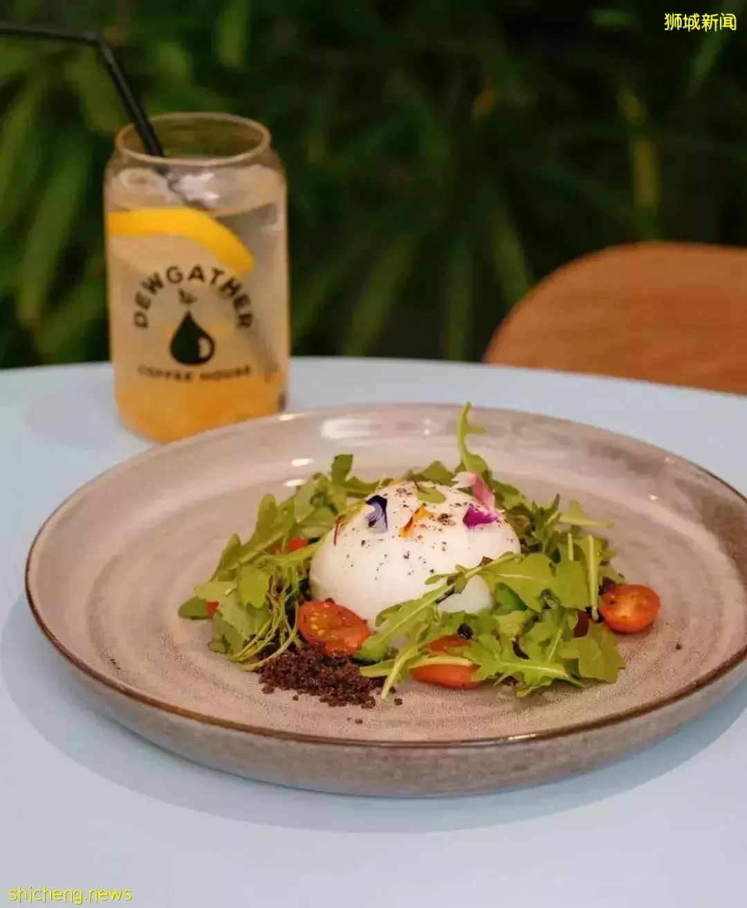 狮城の澳洲风情咖啡馆有哪些？一起来开启澳式慵懒午后吧