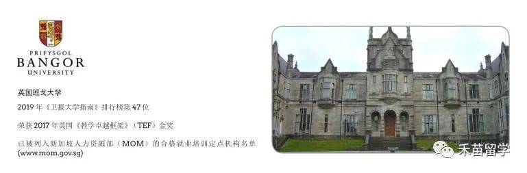 新加坡管理發展學院