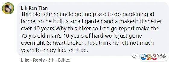 獅城“陶淵明”花10年悄悄在叢林裏開拓“世外桃源”　一朝被徒步者舉報，被令撤離