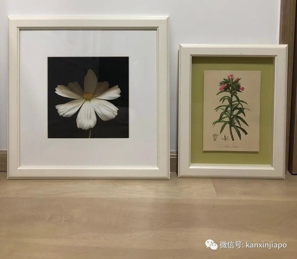 【十元封顶的惊爆价】新加坡最便宜的生活用品一降到底!