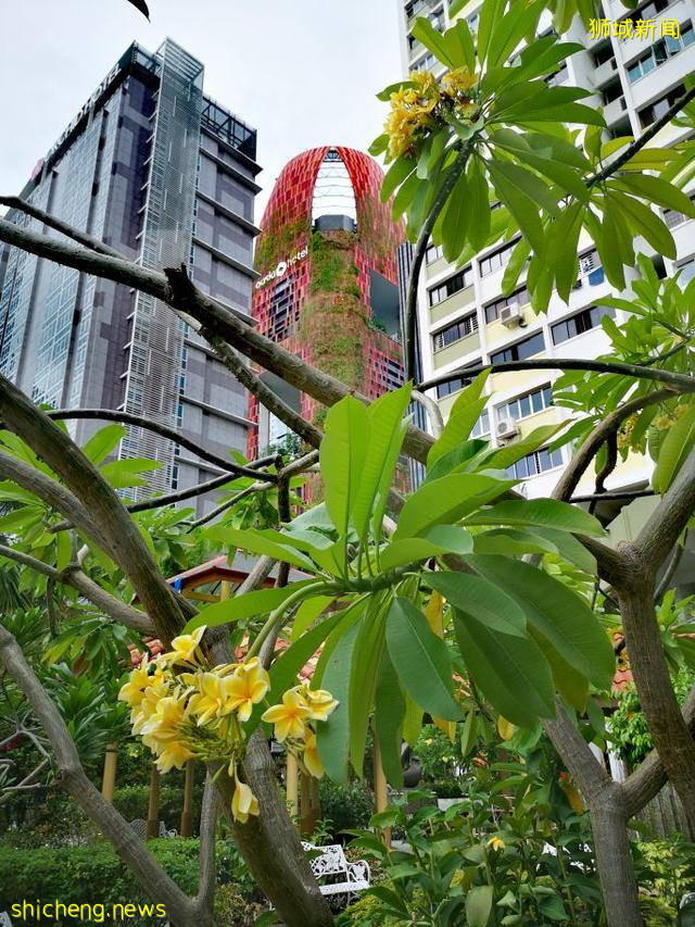 新加坡的小众景点