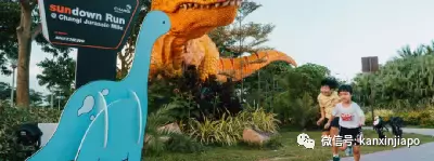 40不惑!疫情下樟宜机场为大家创造快乐,有这么多活动你知道吗