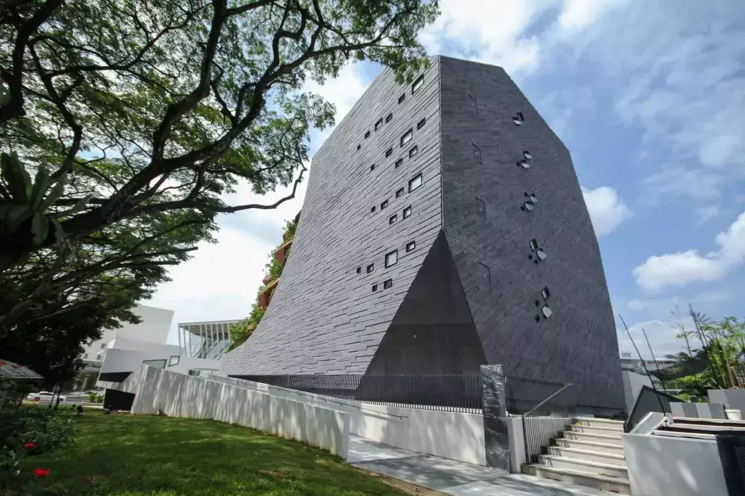 你見過熱戀中的水獺嗎