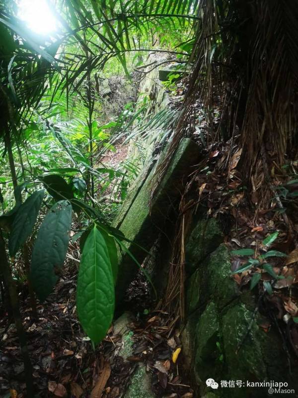勇闯麦里芝被遗忘的神社,狂风暴雨下惊险求生