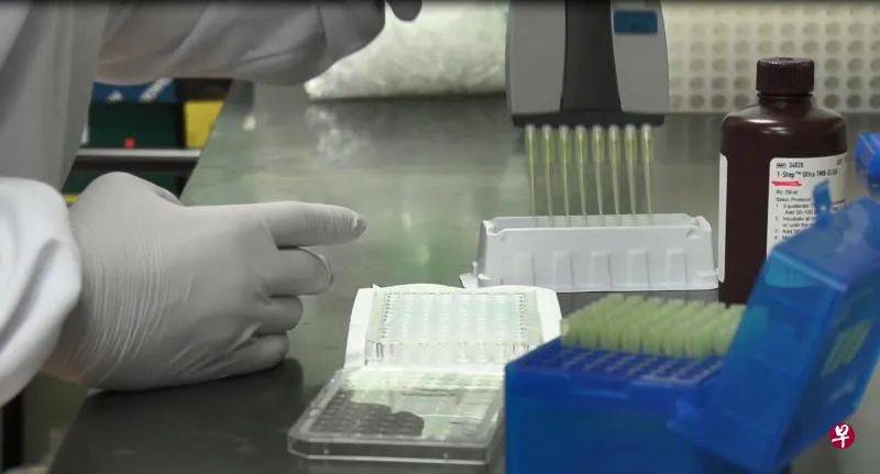 你也可以爲新加坡冠病藥物研發盡一份力