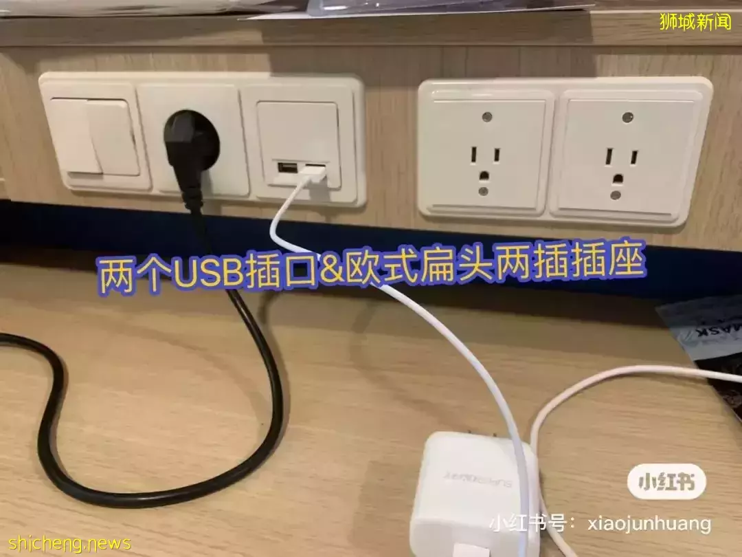 羡慕!一家四口5天4夜坐豪华邮轮免费,攀岩、冲浪、蹦极、跳伞,数不尽的美食和表演