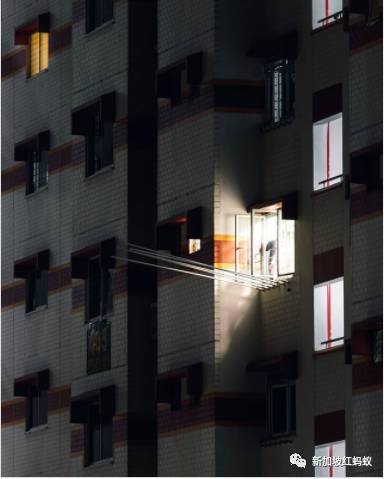 新加坡人镜头下“家的形状”是什么? 答案就在2500多张照片里