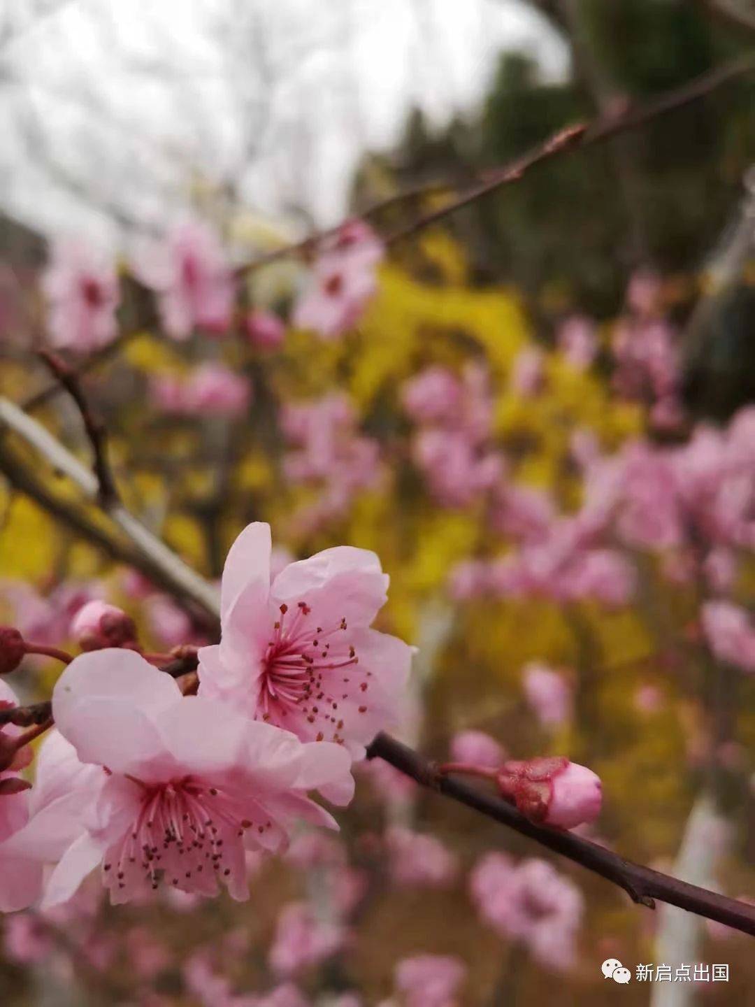 利好政策新鲜出炉,快来看看最受新加坡移民欢迎的项目吧
