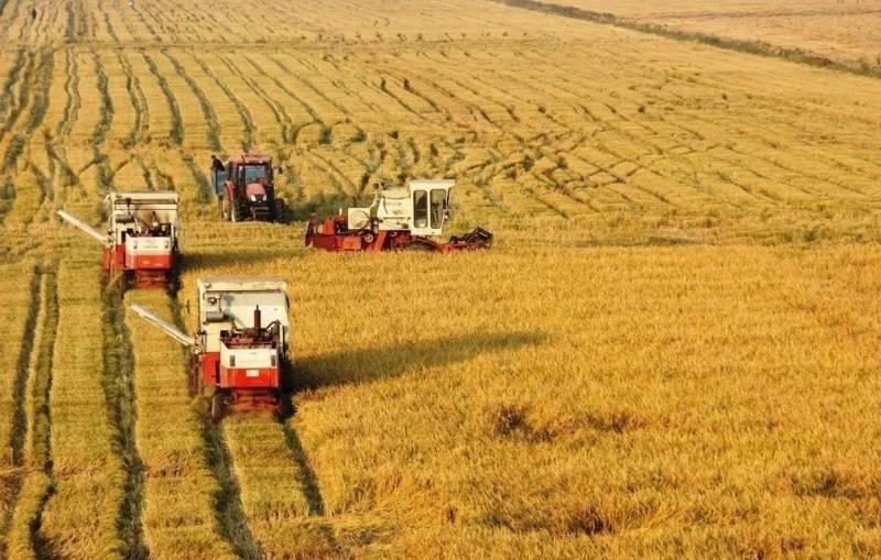 新加坡“30•30”食物愿景