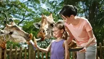 答應我，日後去新加坡旅行一定要打卡這10件事