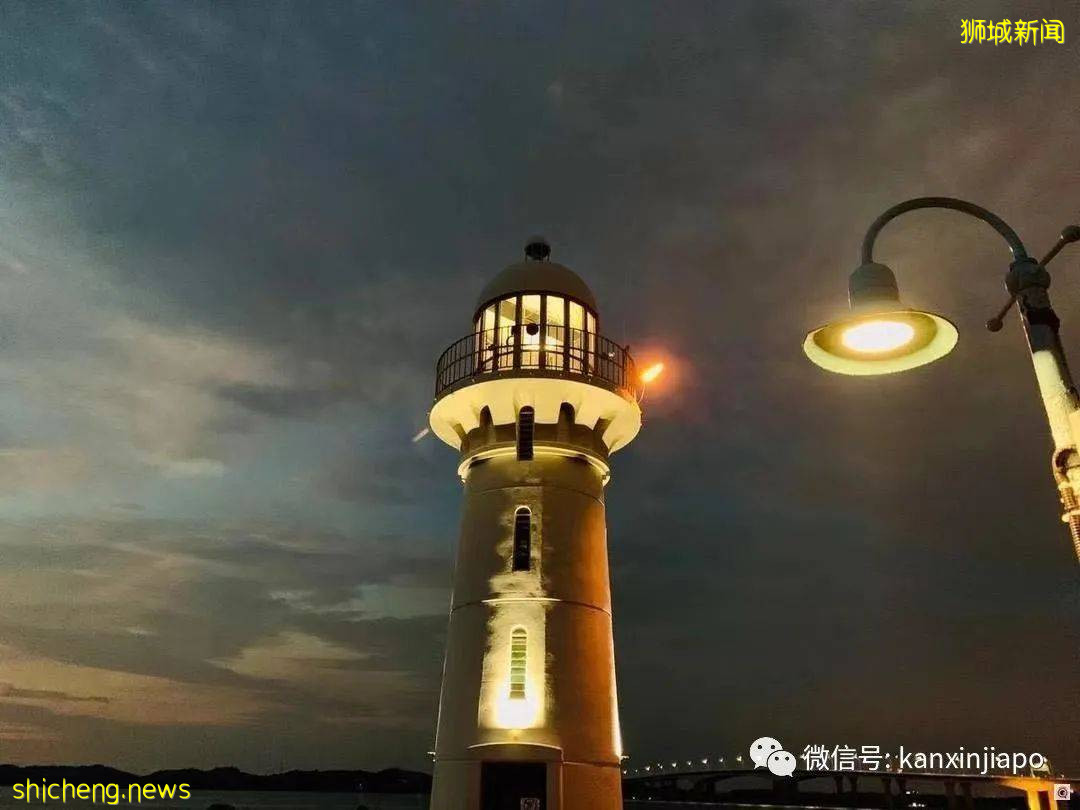 初来乍到遇上疫情,在新加坡当程序员是怎样的感觉