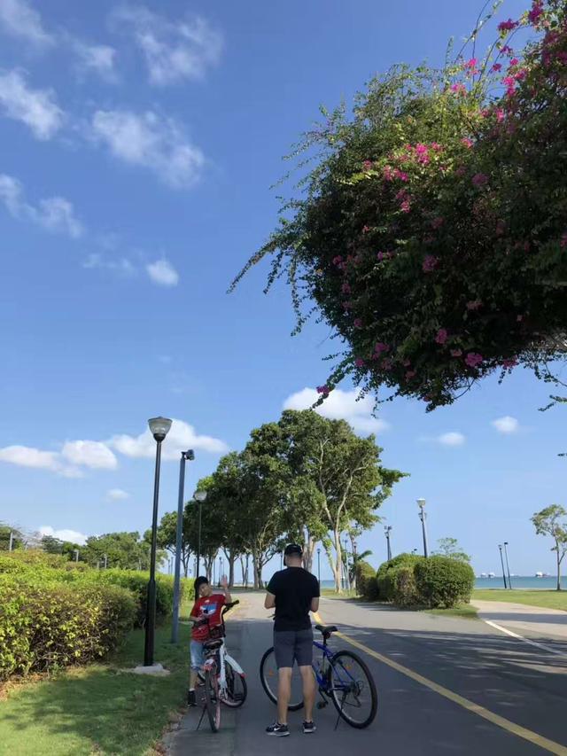 出境自由行第一站去哪儿比较好?—八大理由让你爱上新加坡