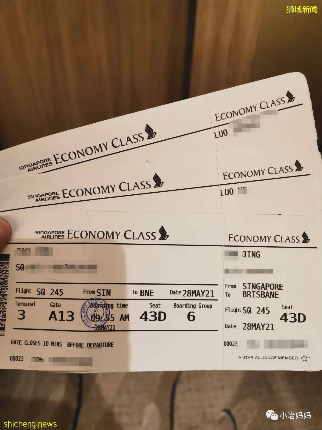 結束11年新加坡的生活!我懷孕帶著5歲的娃回了中國又移民澳洲!這瘋狂又神奇的旅程