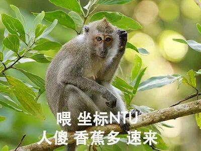 呼籲!打擊 NTU 校園黑惡勢力刻不容緩