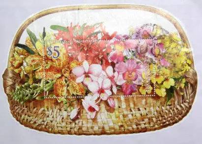 獅城見聞 | 新加坡胡姬花趣事!