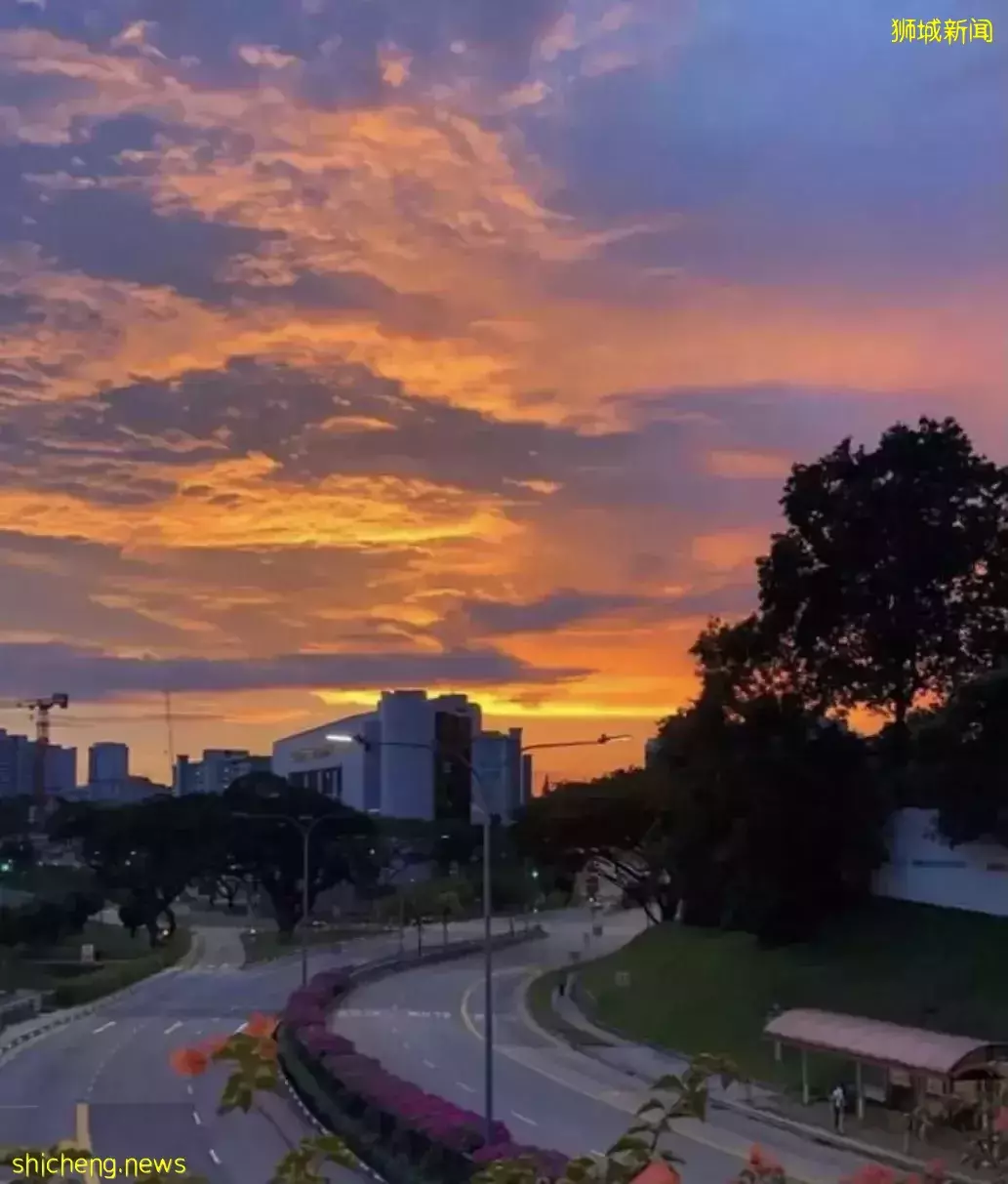 异国生活 如果我还在新加坡工作,会不会更安稳