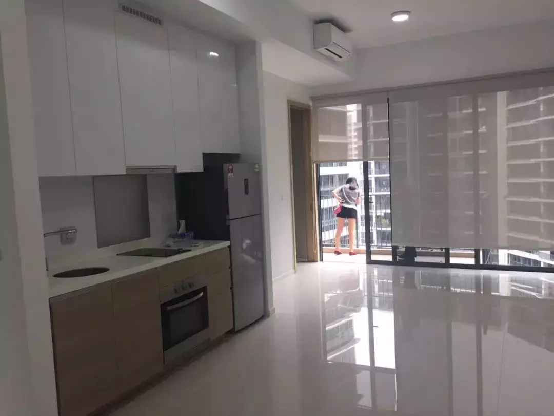 “新加坡的骗子太猖狂,竟然到我家楼下亲自送伪造文件……”