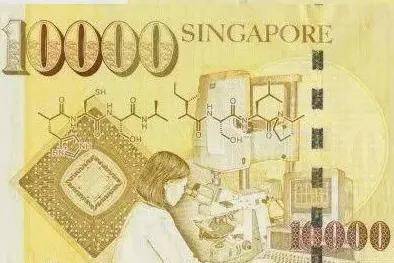 那些奇奇怪怪的知識（新加坡上）