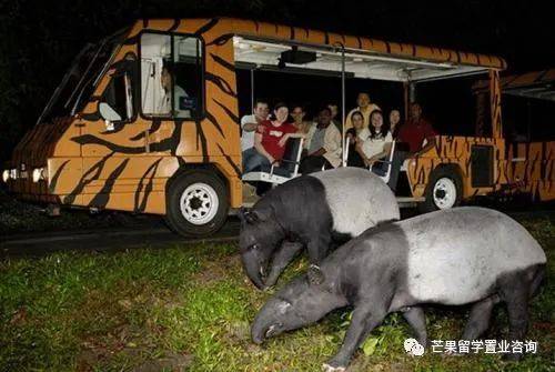 新加坡“親子娛樂”好去處盤點(1)