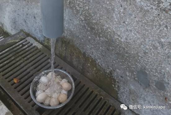 終于可以“出國”了?新加坡原來還有這些秘密基地