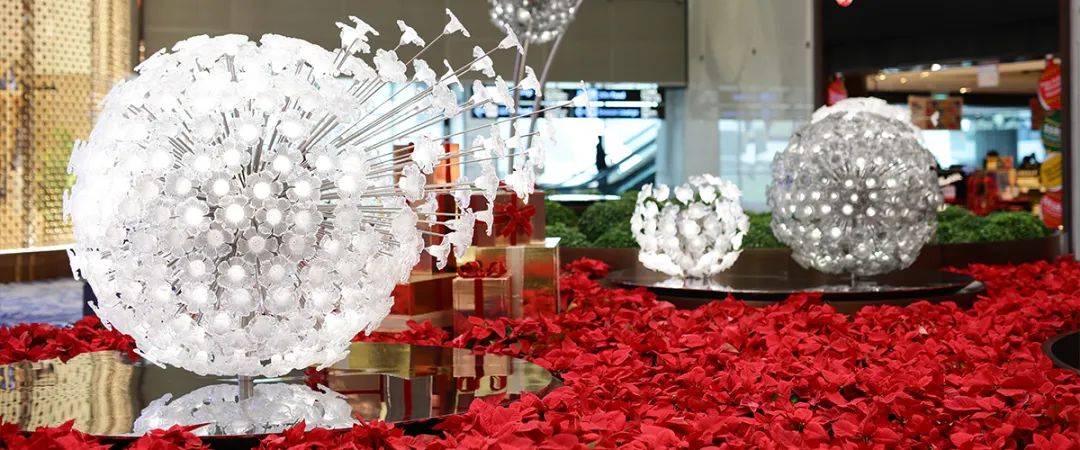 樟宜機場 “花園裏的機場”都有哪些花園呢