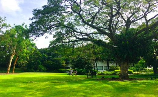 玩在獅城 周末一起去大自然裏野餐——新加坡最適合野餐的十大自然公園