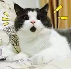 制造业S Pass比例两年内收紧,见不到工厂的新加坡,制造业竟然全球第二