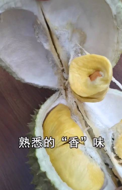 昨晚，我們在新加坡芽籠紅燈區吃雞，是怎樣一種體驗