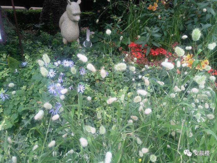 美好的新加坡之行（中）