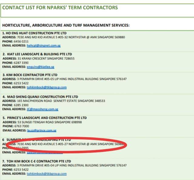 公园夜跑被绊倒,新加坡政府处理流程全记实