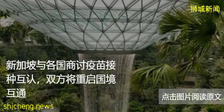 新加坡下周將放寬防疫措施限制;公衆也可以在超市或便利店購買自主檢測儀