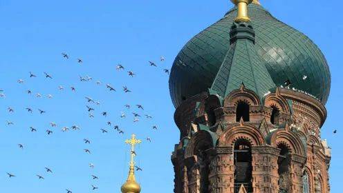 去新加坡旅遊，這些知識你不得不懂