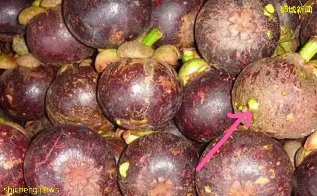 为什么同样的水果摊，你妈买的香甜可口，你买的像得罪了摊主