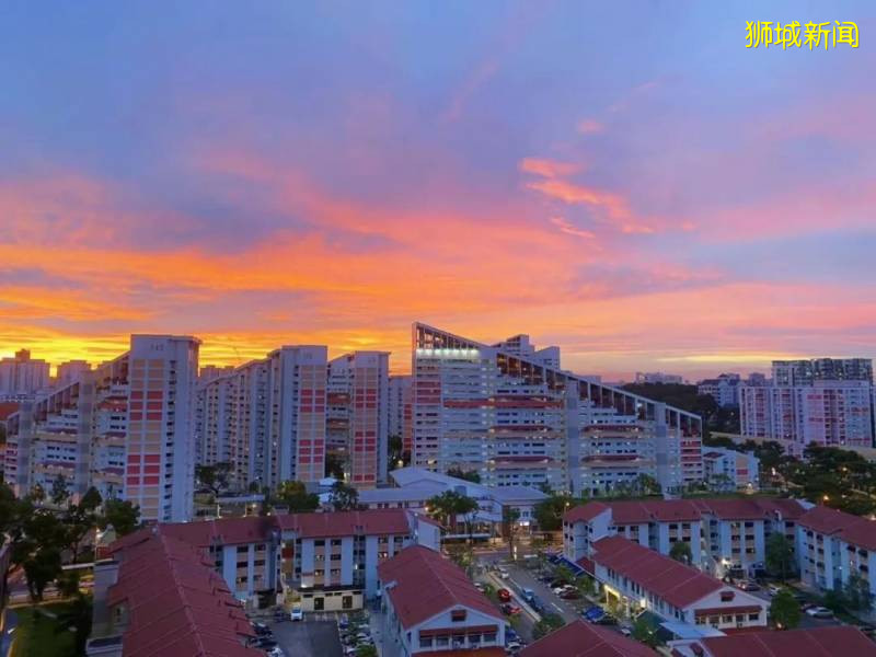 疫情、封城、失業倒閉潮！新加坡2020魔幻上半年正式結束！太難了