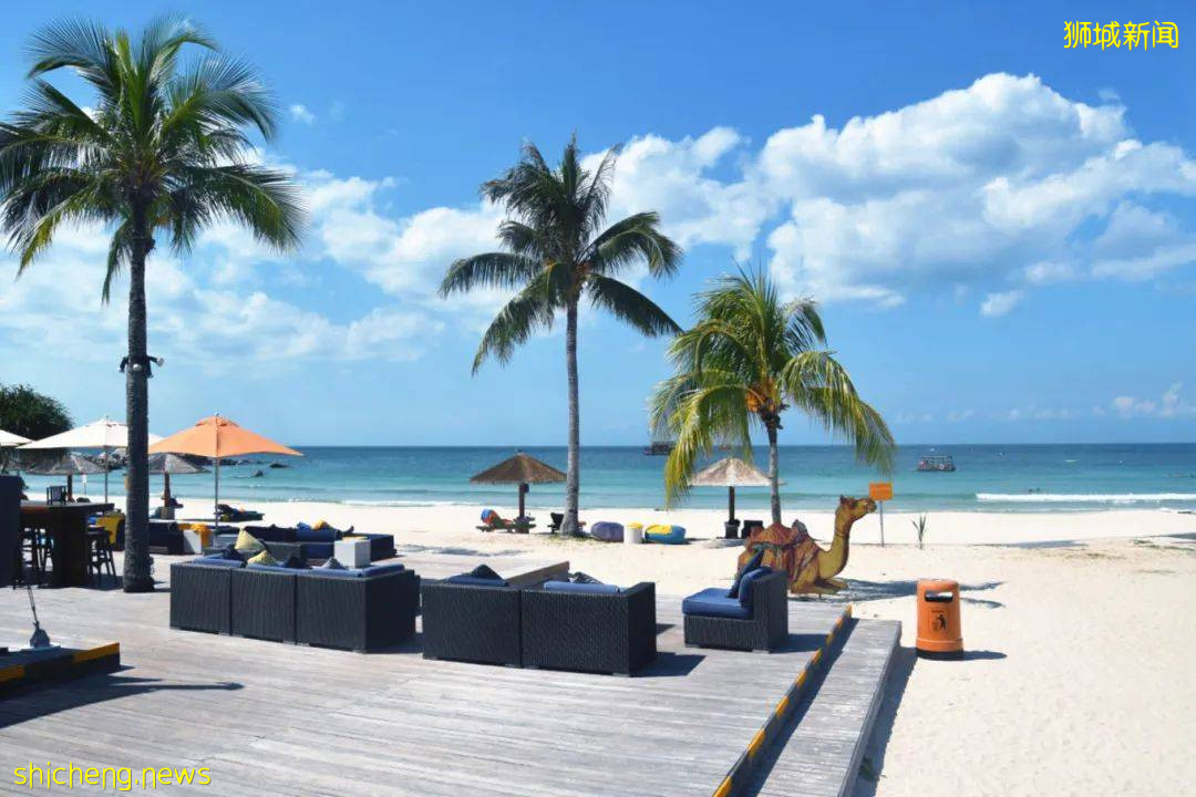 打破传统市区游,轻松逛新加坡两大后花园