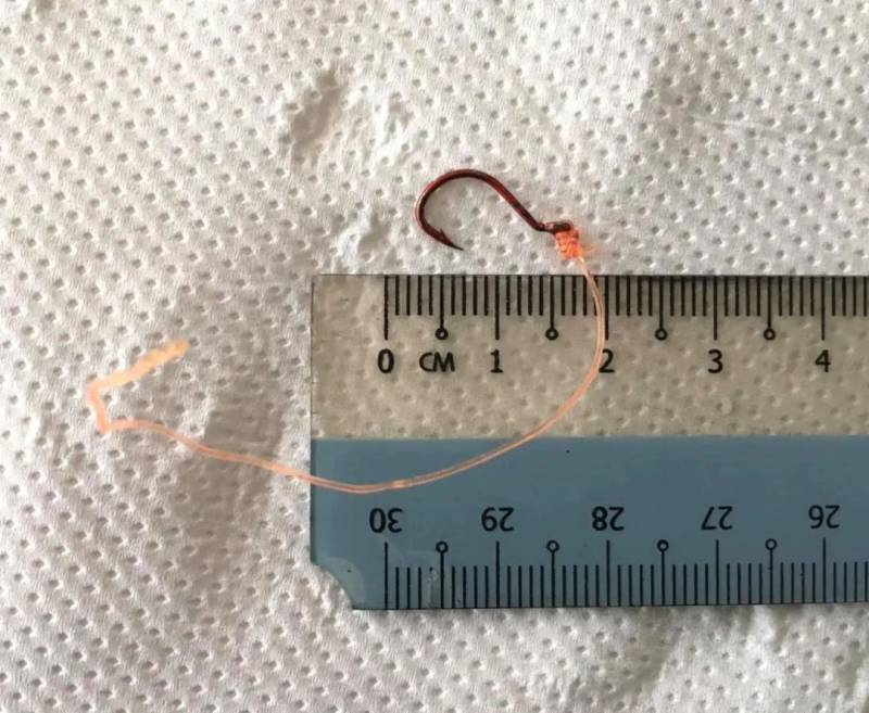 新加坡小水獭惨遭鱼钩卡喉咙,活活被饿死