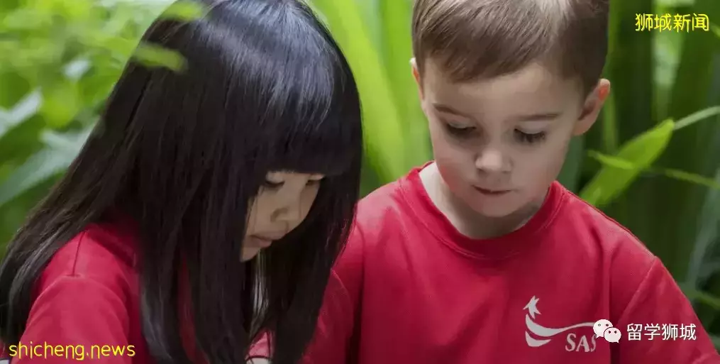 美式教育如何在亚洲体验?手把手带你进入新加坡美国国际学校