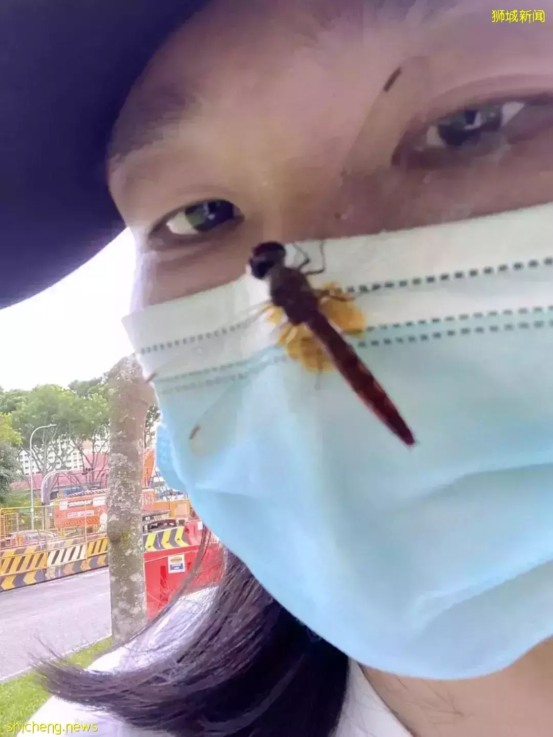 新加坡親子騎行的快樂~剛冒頭的蘑菇、曬太陽的大蜥蜴、嬉鬧打滾的水獺