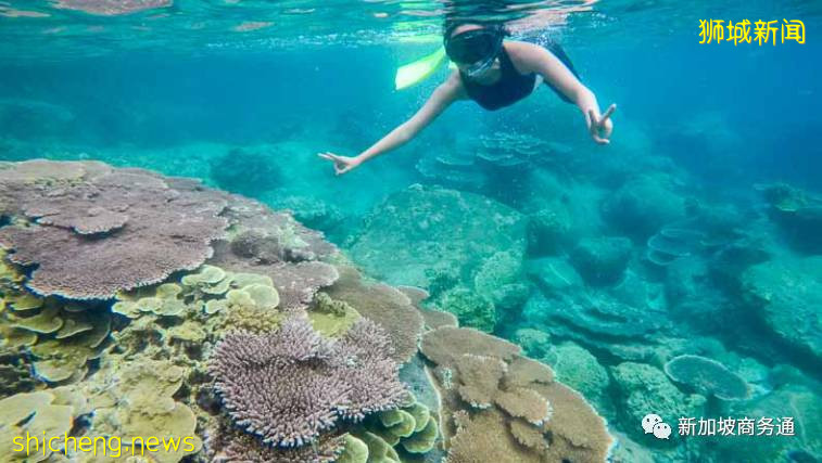 新加坡的後花園 新加坡附近最熱門的旅遊勝地