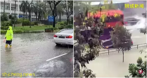 狮城又豪雨成灾 名车抛锚 司机受困