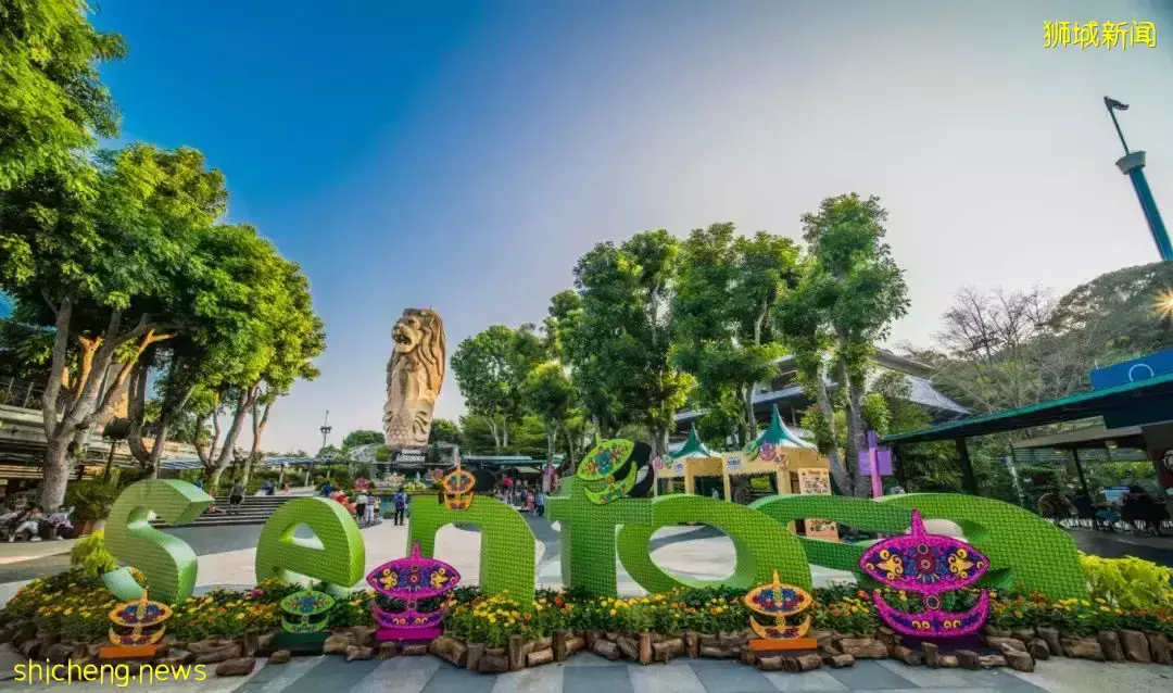 漫步北纬1°,开启游学“新”篇章