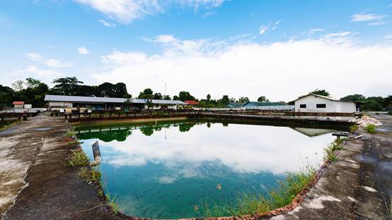 新加坡有这么多适合遛娃的农场,你竟然还不知道